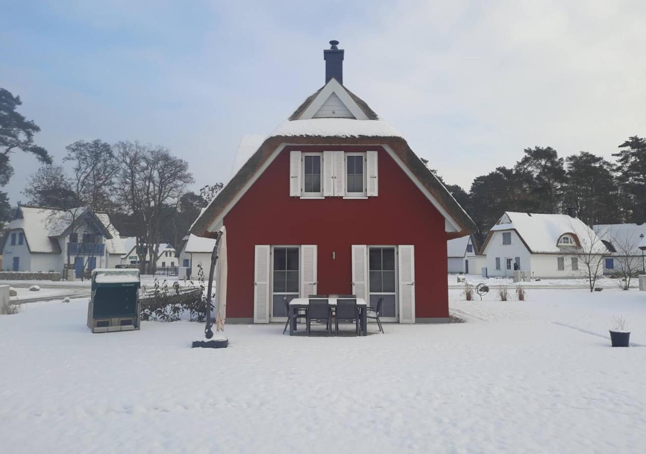 Modernes Reetdach-Ostseeferienhaus Bella Mare, Insel Usedom Mit Sauna, Kamin & Sonnenterrasse Zirchow المظهر الخارجي الصورة